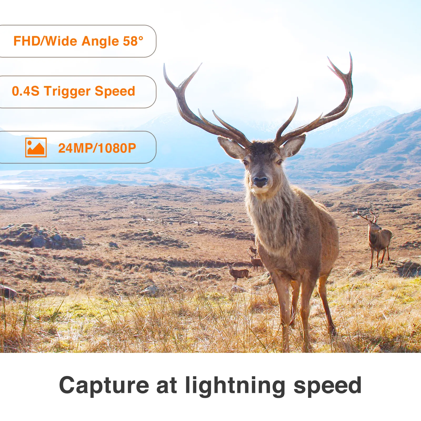 Camerabird 480Ace