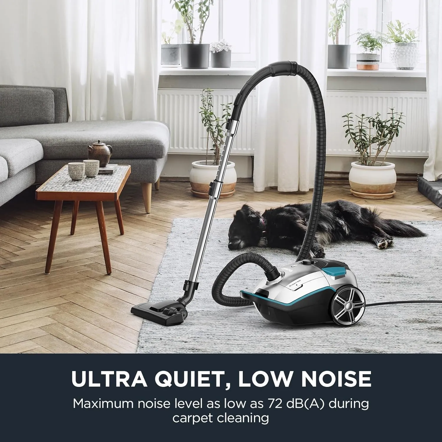 Eureka Canister Vacuum Cleaner, Lightweight Vacuum Cleaner for Carpets and Hard Floors, NEN170 Pet Friendly vaccum Cleaner with with HEPA Filter and 4 dust Bags, Silver with Green