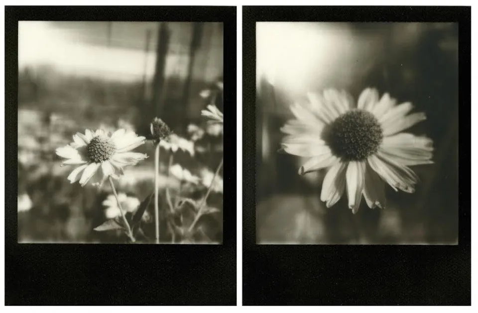 LENS SET FOR SX-70 CAMERAS