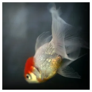 Light and Shadow #6 - Fine Art Photograph