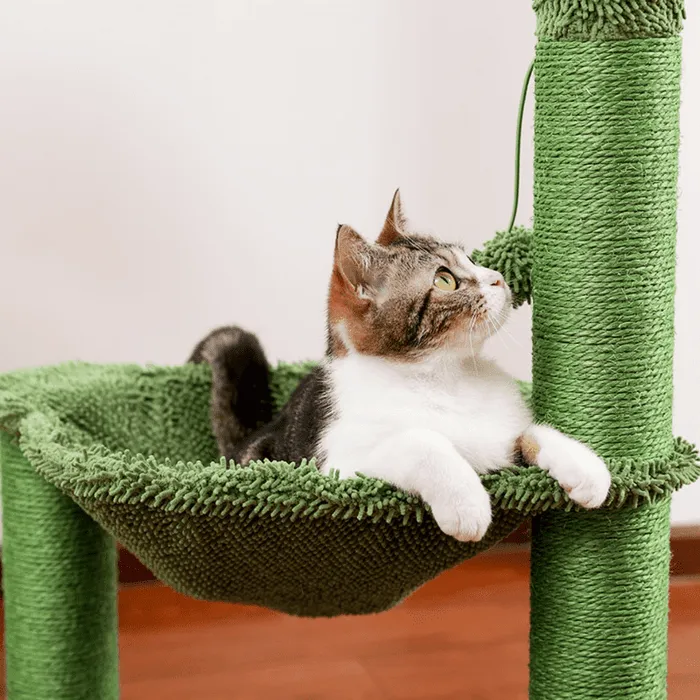 Modern Cat Tree Tower Condo Furniture Stand