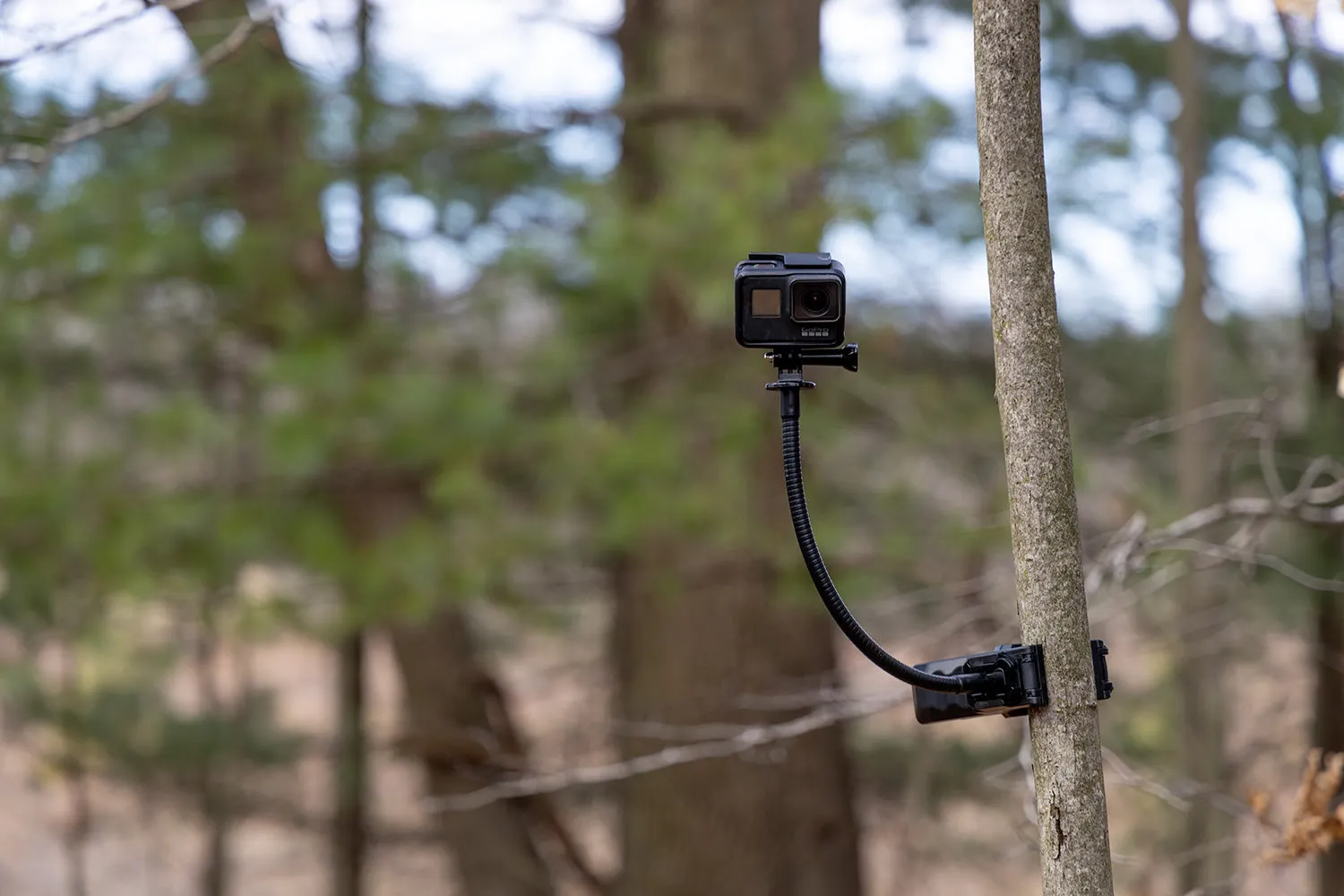 Silent Flex POV Clamp Mount
